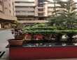 340 sq ft Carpet area Office for Rent in Remi Bizcourt