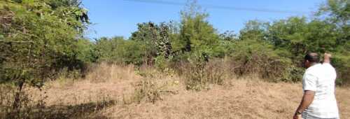 2.5 acre land for sale in Murbad, Thane West