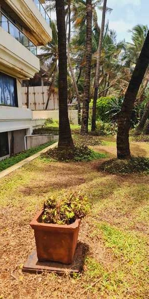 Sale Sea Facing, On the Sea Front, 2450 sft 3 bhk with Terrace Flat in Juhu Mumbai with Study Room and Servants Room