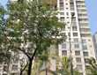 Rent, 4 BHK Duplex in Andheri West, Lokhandwala, Rushi Tower.