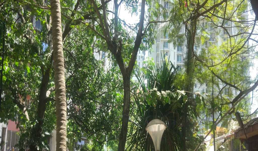 2 Bhk Apartment In Brighton Tower At Lokhandwala Complex Andheri West For Sale Bombay Property