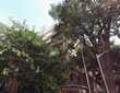 Rent Furnished 2 Bhk in Juhu, Philomena Apt.