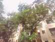 Sale 1 Bhk, 540 sft, in Andheri W, Sundervan Complex, Sterling Apt.