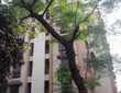 1 BHK Residential Apartment of 505 sq.ft. Area for Sale at Kingston, Lokhandwala, Andheri west.