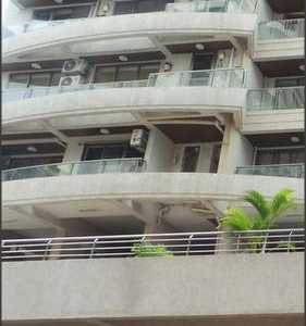 juhu run 219