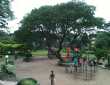 1 BHK Flat for Rent near Rajesh Khanna Garden, Khar west 