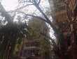 Rent 2 Bhk in Khar W, 13 Rd, Himmat Ghar.