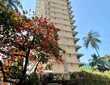 Rent S/F 3 Bhk in Bandra W Pali Hill, Madhuban Apt.